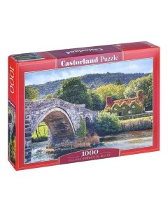 Пазлы Местечко в Уэльсе Romantic Travel 1000 деталей в коробке C 104673 Castorland