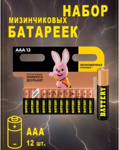Батарейки щелочные Durасel 252155 Ваsic АAА 12шт Duracell