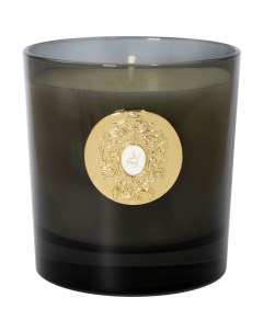 Свеча с ароматом духов Hale Bopp хлопковый фитиль 250 г Tiziana terenzi