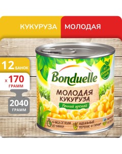 Кукуруза молодая Бондюэль 170 г х 12 шт Bonduelle