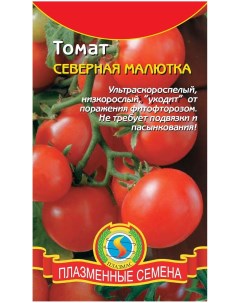 Семена томат Северная малютка 11100776 1 уп Плазмас