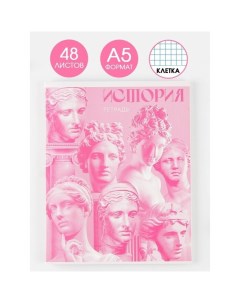 Предметная тетрадь 48 листов Розовая Серия История Artfox study