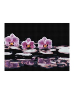 Алмазная мозаика Орхидеи 50х70 см Три совы