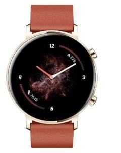 Смарт часы Watch GT 2 Brown Brown DAN B19 Huawei
