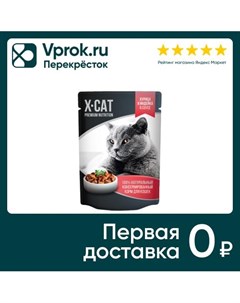 Влажный корм для кошек X CAT Курица и индейка в соусе 85г упаковка 24 шт Ип михайлова м.в.
