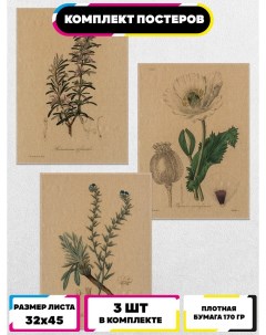 Постеры интерьерные Ботанические зарисовки Ru-print