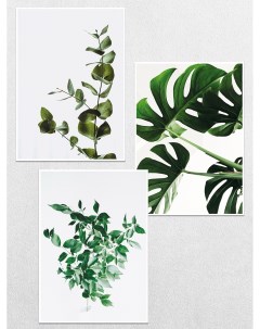 Постеры интерьерные Тропические листья Ботаника Ru-print