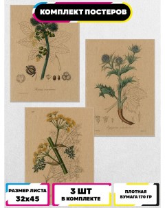 Постеры интерьерные Ботанические зарисовки Ru-print