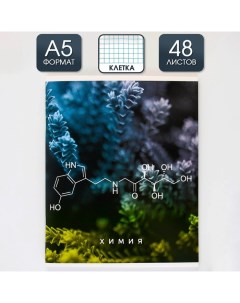 Тетрадь предметная Природа Химия 48 листов клетка Artfox study