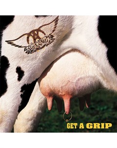 Aerosmith Get A Grip Geffen records