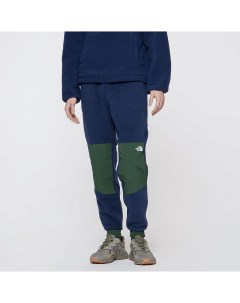 Мужские брюки Мужские брюки Denali Pant The north face