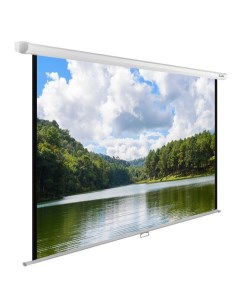 Экран для видеопроектора WallExpert CS PSWE 240X150 WT Cactus