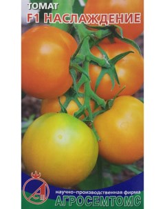 Семена томат Наслаждение F1 17432 1 уп Агросемтомс