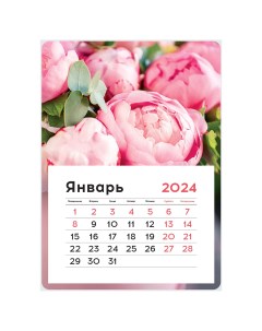 Календарь отрывной на магните на 2024г Mono Пионы 355843 7 шт Officespace