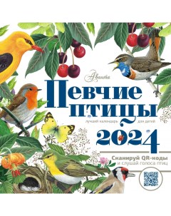 Календарь Певчие птицы с голосами 2024 год Аст