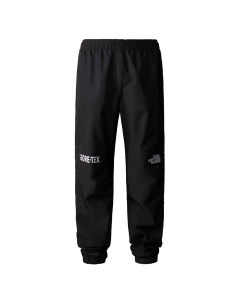 Мужские брюки Мужские брюки Gore Tex Mountain Pant The north face