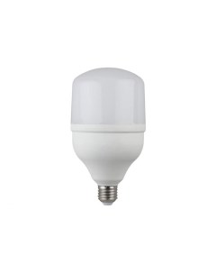 Лампа светодиодная Б0027004 LED POWER T100 30W 6500 E27 диод колокол 30Вт хол E27 Era