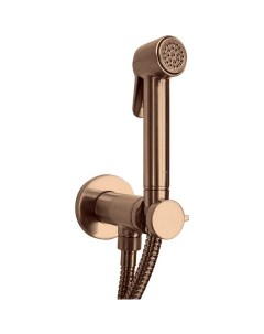 Гигиенический душ со смесителем Paloma Brass E37005 022 Античная бронза Bossini