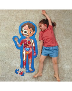 Детский пазл игрушка Как устроено тело человека 60 элементов в кейсе E1635_HP Hape