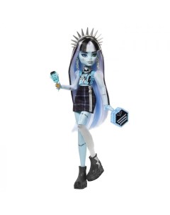 Кукла Frankie Stein с аксессуарами HNF75 Monster high