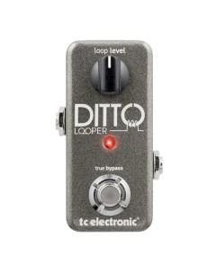 Педаль эффектов для электрогитары Ditto Stereo Looper Tc electronic