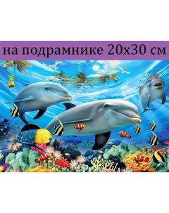 Алмазная мозаика JS29616 дельфины на подрамнике 20х30 Nobrand
