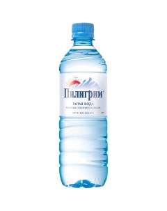 Вода питьевая минеральная негазированная 0 5 л Пилигрим