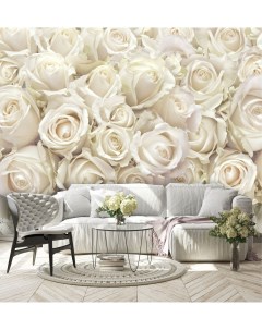 Фотообои с цветами на стену Белые розы 300х270 см Dekor vinil