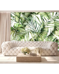 Фотообои Акварельные зеленые листья пальмы на белом фоне 300х270 см Dekor vinil