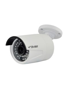 IP видеокамера DVI S125 LV Divisat