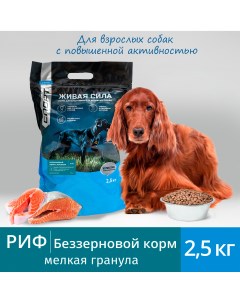 Сухой корм для собак Риф мелкая гранула с лососем 2 5 кг Jj-sport