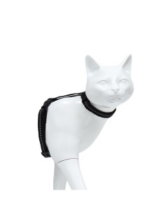Шлейка для кошек ширина 1 см светоотражающий ОШ 16 5 27 см ОГ 21 35 см чёрный Пижон