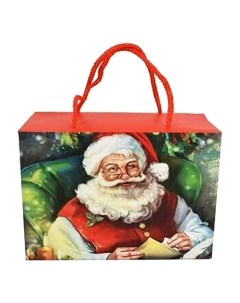 Пакет подарочный Дед Мороз 27 x 20 x 13 см в ассортименте Due esse christmas