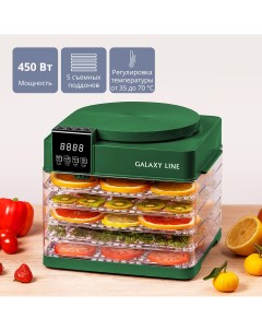 Сушилка для овощей и фруктов LINE GL2630 зеленый Galaxy