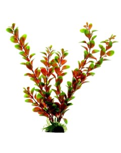 Растение для аквариума Людвигия пластиковое красно зеленое 30 см Vitality