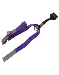 Эспандер Для растяжки йога лента Profi 2 8 м фиолетовый Sportex