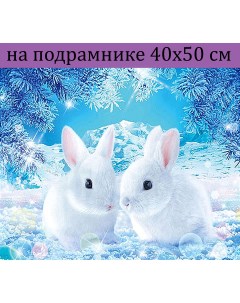 Алмазная мозаика WB2396 2 белых зайца на подрамнике 40х50 Nobrand