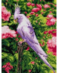 Алмазная мозаика 30 х 40 см Белый попугай полное заполнение Лори