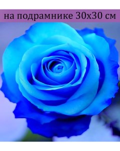Алмазная мозаика JV20628 голубая роза на подрамнике 30х30 Nobrand