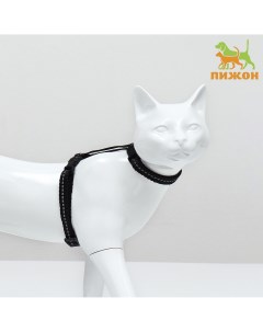 Шлейка для кошек ширина 1 см светоотражающий ош 16 5 27 см ог 21 35 см черный Пижон