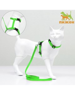 Комплект для кошек ширина 1 см ош 16 5 27 см ог 21 35 см поводок 120 см зеленый Пижон