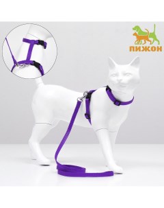 Комплект для кошек ширина 1 см ош 16 5 27 см ог 21 35 см поводок 120 см фиолетовый Пижон