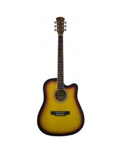 Акустические гитары E4120 SB Elitaro