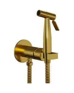 Гигиенический душ со смесителем Castello Round CAPJ442R Брашированное золото Paini