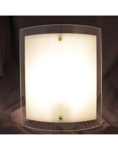 Светильник настенно потолочный Консул 1 лампа 4 м цвет белый Завод элетех