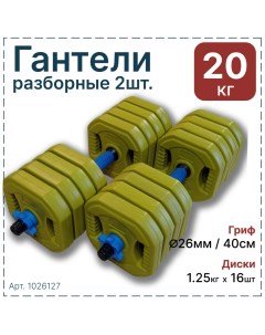 Гантели разборные 20 кг 2шт x 10кг пластик Hawk