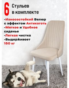 Комплект стульев для кухни и офиса Руссо 6 шт Бежевый Artholding