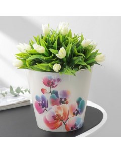 Цветочное кашпо для орхидей со вставкой 9165902 1 6 л белый 1 шт Idiland