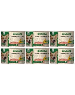 Консервы для собак сочные кусочки в желе с индейкой 6 шт по 200 г Statera