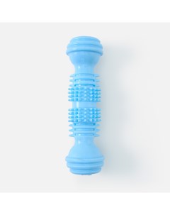 Игрушка для собак для чистки зубов гантель с зубьями SM032 013 синяя Mascube